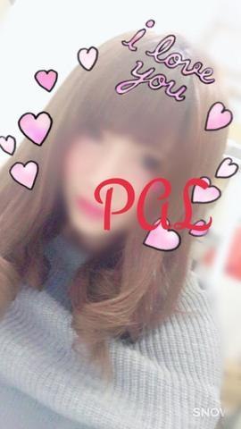 ぱるのプロフィール写真