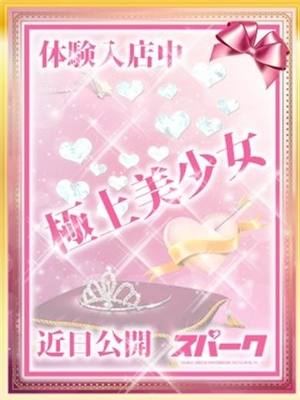 きこのプロフィール写真
