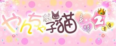 やんちゃな子猫京橋店のヘッダーイメージ