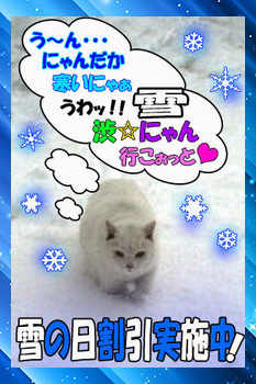 雪のプロフィール写真
