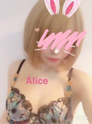伏木乃アリスのプロフィール写真