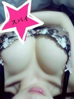 どっかのスパイのプロフィール写真