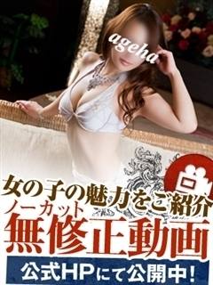 蝶(あげは)のプロフィール写真