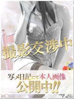 須賀れいこのプロフィール写真