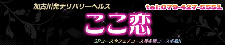 ここ恋のヘッダーイメージ