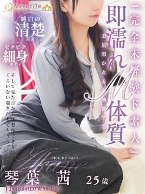 琴葉 茜のプロフィール写真