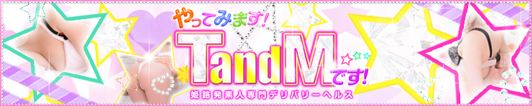 やってみますTandMです！のヘッダーイメージ