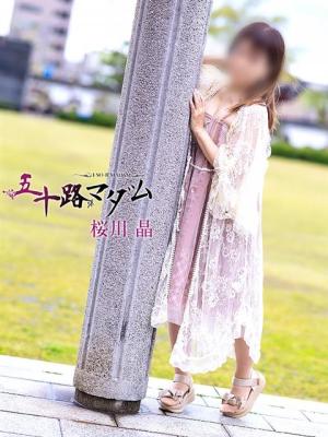 桜川晶のプロフィール写真