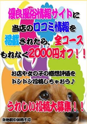 口コミ投稿割引のプロフィール写真