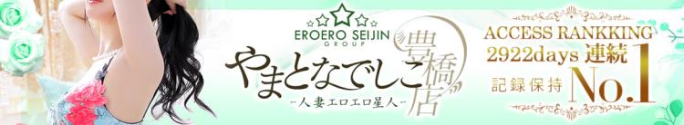 やまとなでしこ豊橋店～人妻エロエロ星人～のヘッダーイメージ