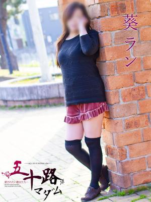 葵ランのプロフィール写真