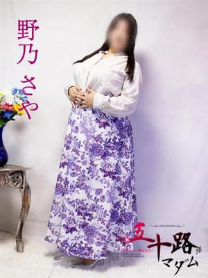 野乃さやのプロフィール写真