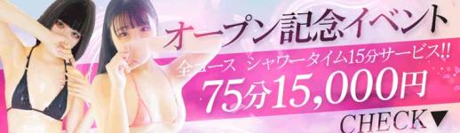ミセスドリーマー -巨乳セレクション-のヘッダーイメージ