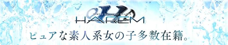 ハーレムのヘッダーイメージ