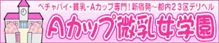 東京都 Aカップ微乳女学園のヘッダーイメージ