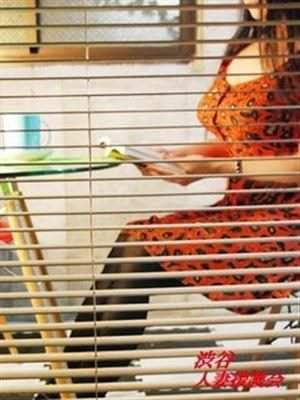 橘のプロフィール写真