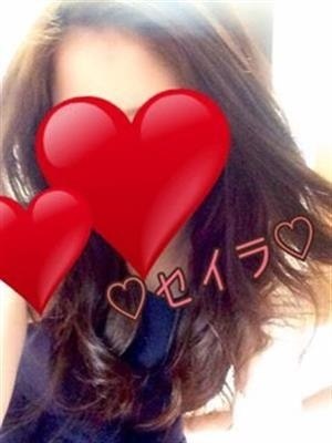 聖羅のプロフィール写真