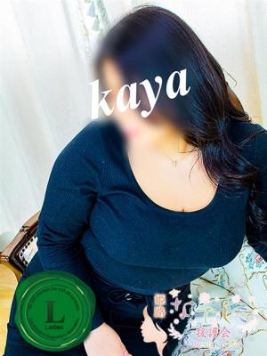 伽耶(かや)のプロフィール写真
