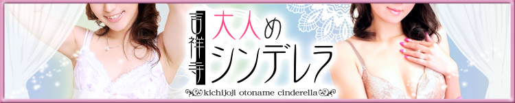 大人めシンデレラのヘッダーイメージ