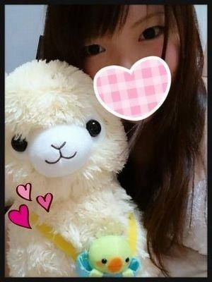 めいのプロフィール写真