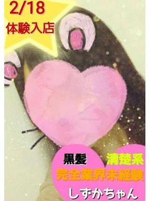 しずかのプロフィール写真