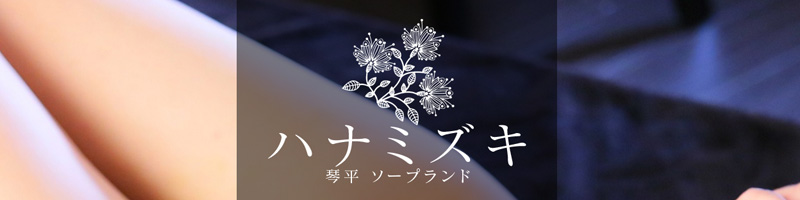 ハナミズキのヘッダーイメージ