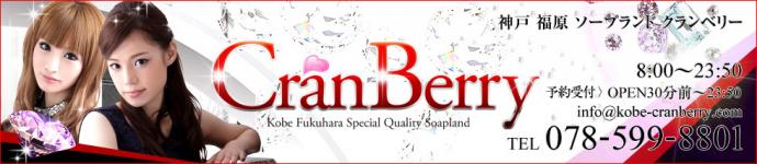 クランベリーのヘッダーイメージ