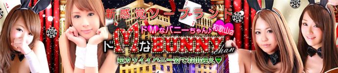 ドエムなバニーちゃん和歌山店のヘッダーイメージ