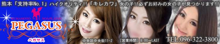 ペガサスのヘッダーイメージ