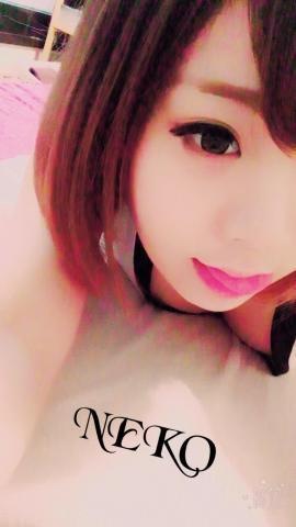 ねこるのプロフィール写真