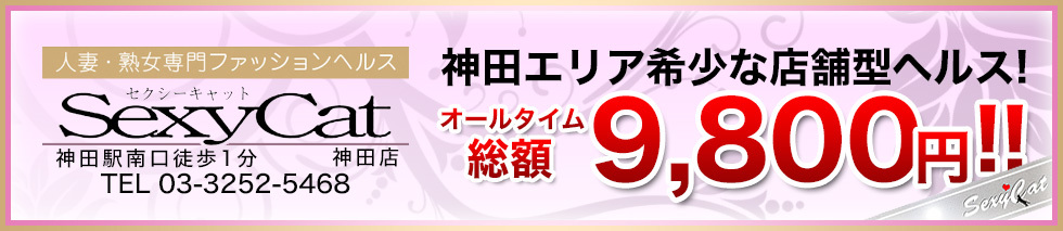 セクシー・キャット 神田店のヘッダーイメージ